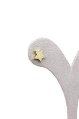 Yıldız Küpe - KP00980